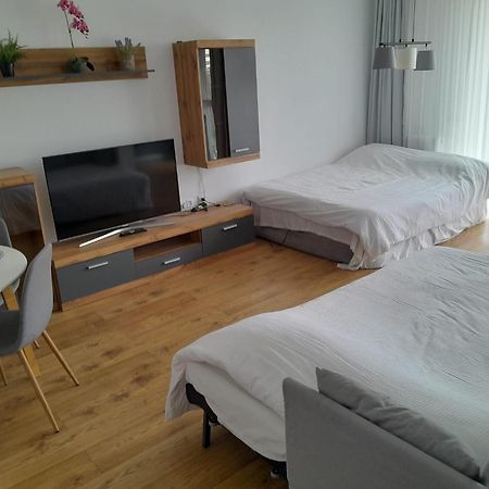 Coresi, 2 Camere, Sleeps 6 Large Private Garden Apartment Pets Welcome ブラショフ エクステリア 写真