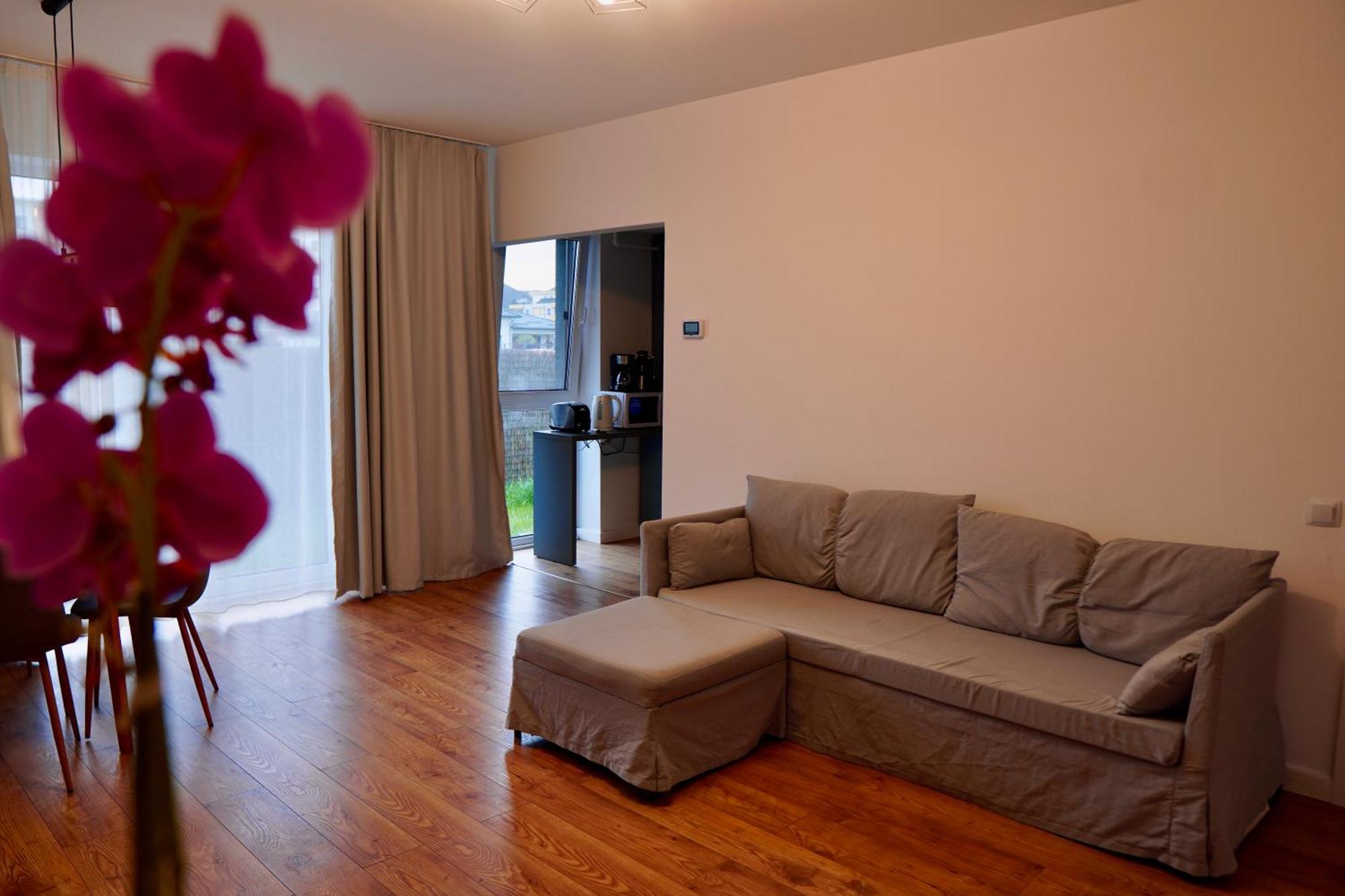 Coresi, 2 Camere, Sleeps 6 Large Private Garden Apartment Pets Welcome ブラショフ エクステリア 写真