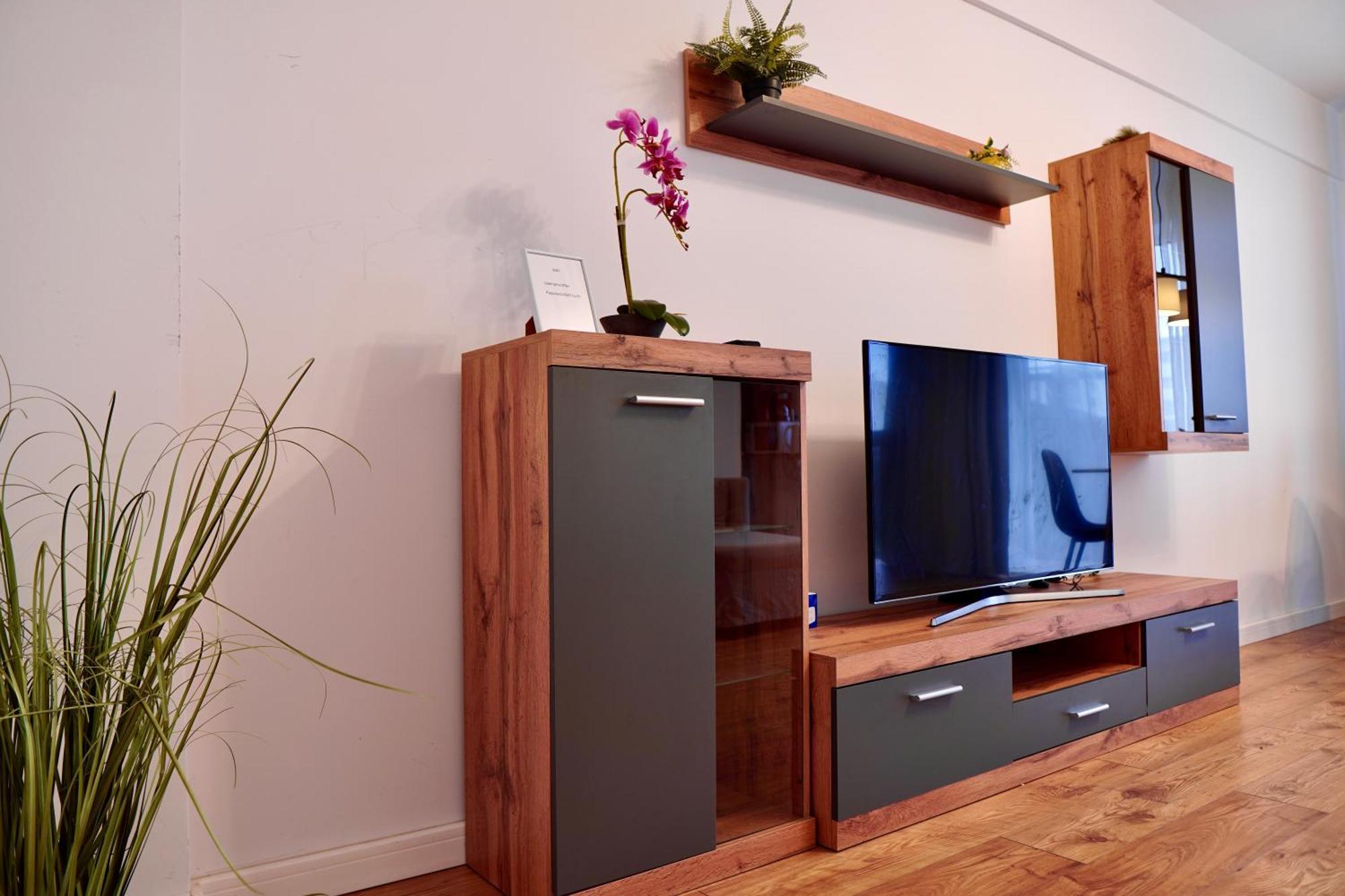 Coresi, 2 Camere, Sleeps 6 Large Private Garden Apartment Pets Welcome ブラショフ エクステリア 写真